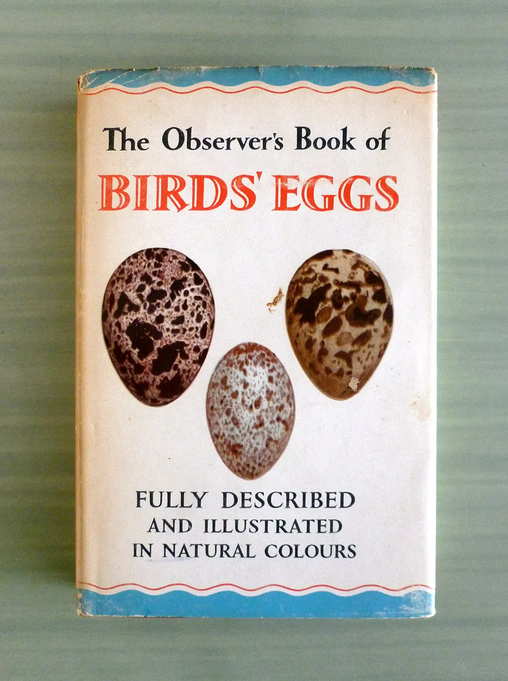 Indulging a creepy impulse to peer into unguarded nests.
