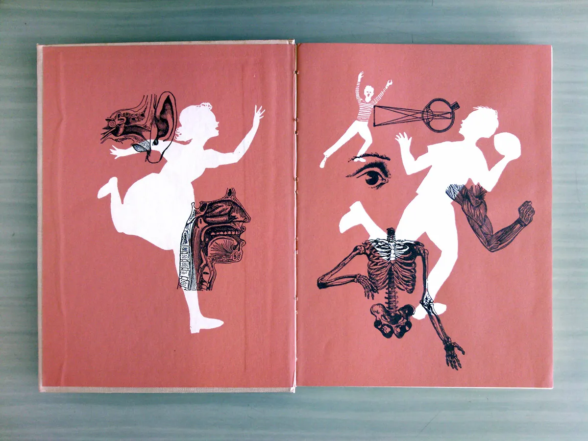A design so enchanting that we never made it past the endpapers.